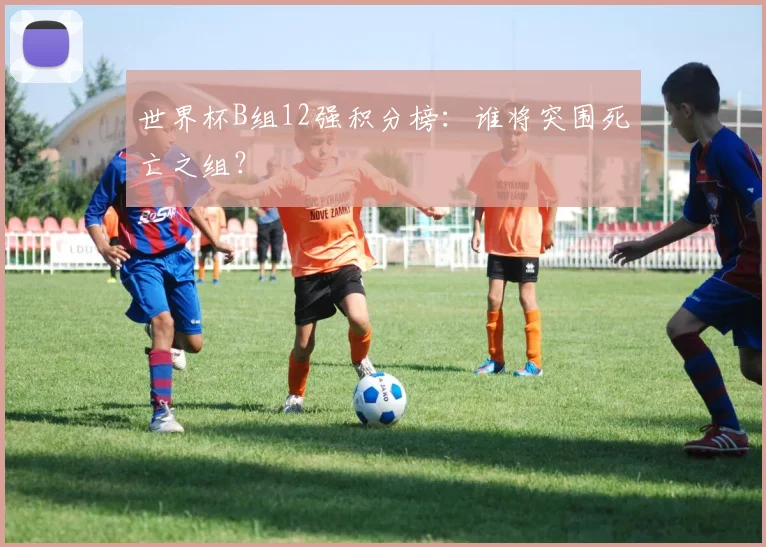世界杯B组12强积分榜：谁将突围死亡之组？