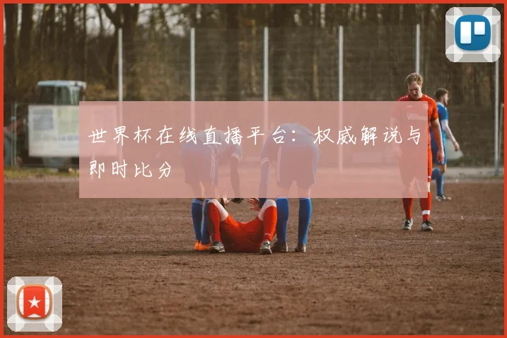 世界杯在线直播平台:权威解说与即时比分