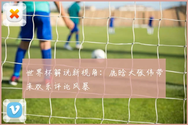 世界杯解说新视角:鹿晗大张伟带来欢乐评论风暴