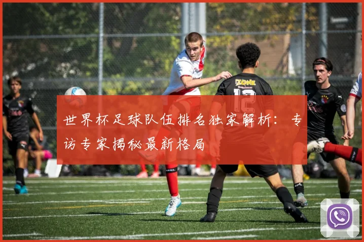 世界杯足球队伍排名独家解析：专访专家揭秘最新格局