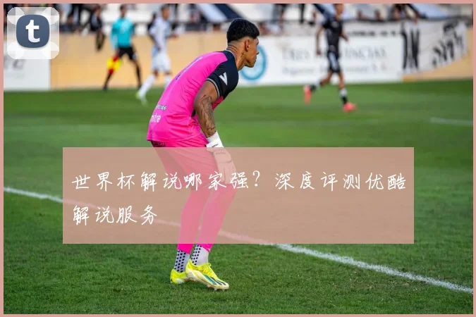 世界杯解说哪家强?深度评测优酷解说服务