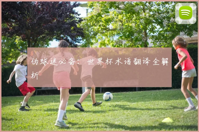 伪球迷必备：世界杯术语翻译全解析