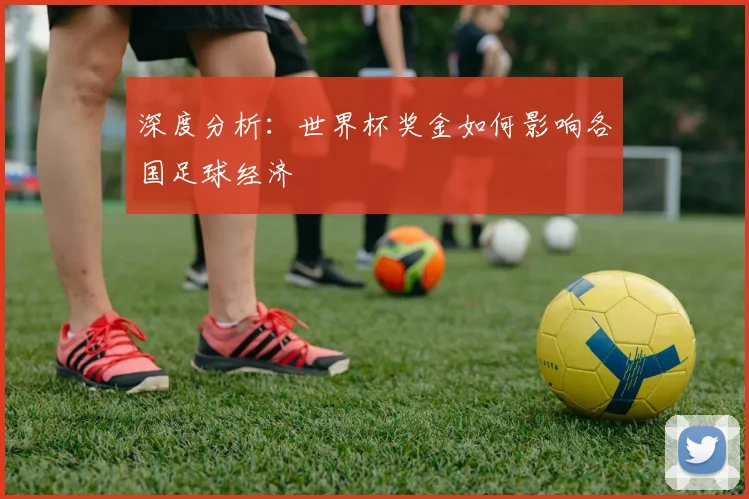 深度分析：世界杯奖金如何影响各国足球经济